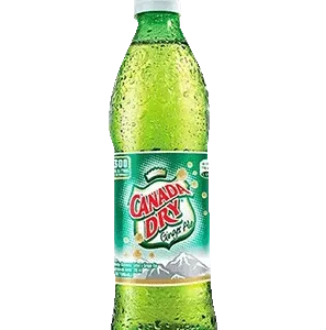 canada dry
